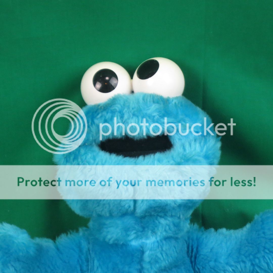 cookie monster plush toy